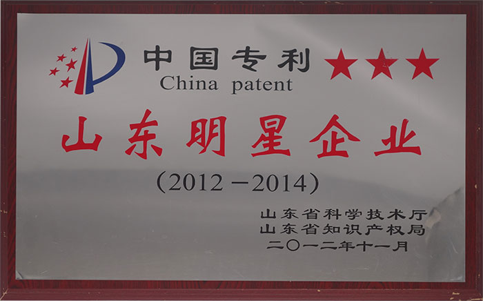 中國專利“山東明星企業”